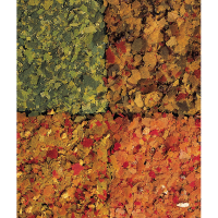 tetra menu1